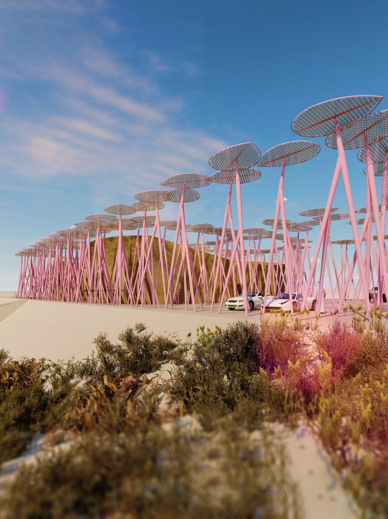 observatoir de flamants roses